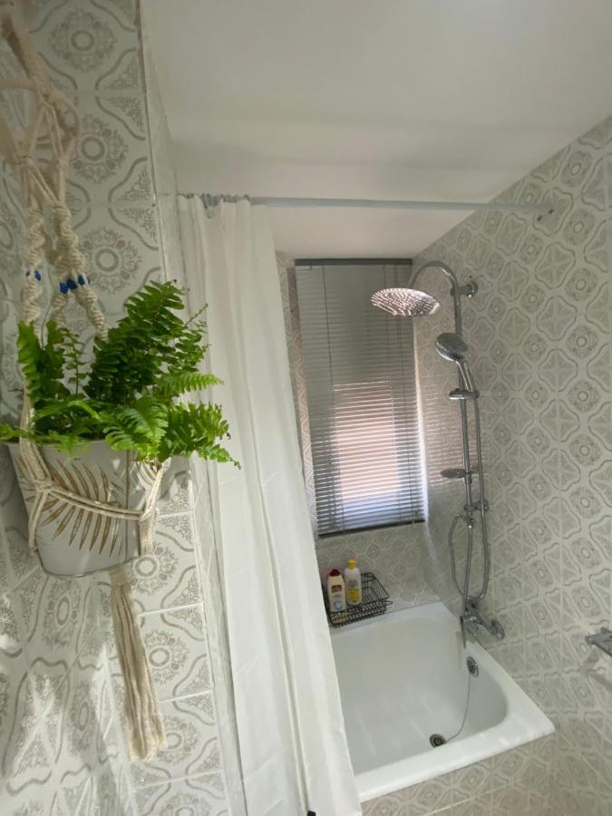 דירות סרגוסה Apartamento Cebra מראה חיצוני תמונה